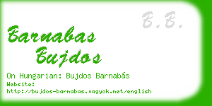 barnabas bujdos business card