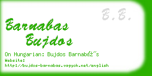 barnabas bujdos business card